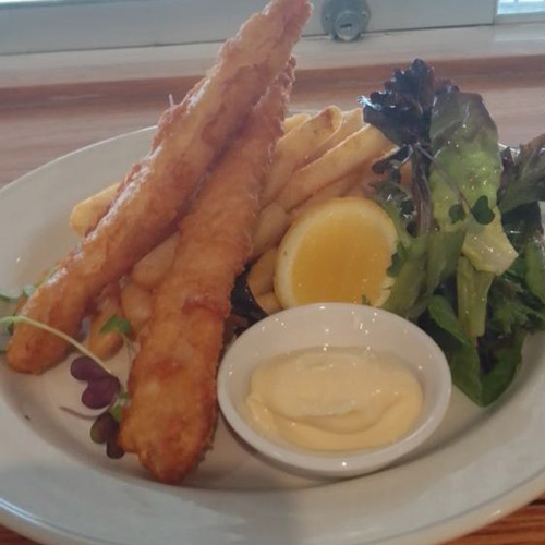 fish